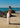 Sol Pants - Ivory