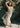 Elsa Dress - Cream